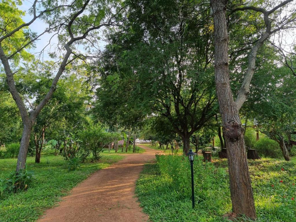 Green Villa Yala 蒂瑟默哈拉默 外观 照片