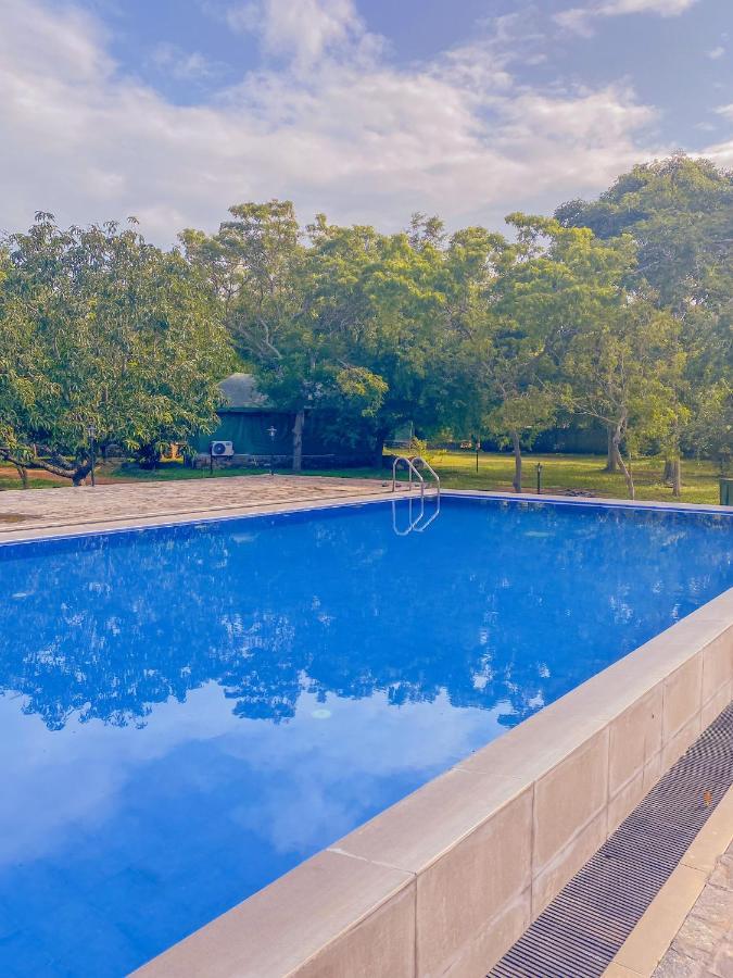 Green Villa Yala 蒂瑟默哈拉默 外观 照片